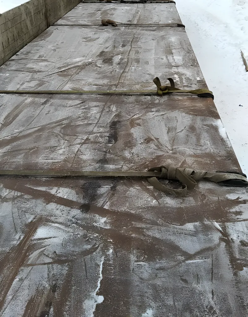 Pica-enhance-20250114185148.png Pica-enhance-20250114185148.png